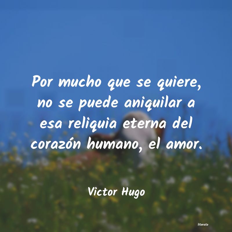 lagrimas con victor hugo
