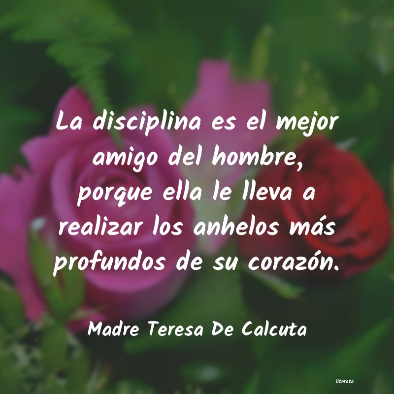 frases de disciplina