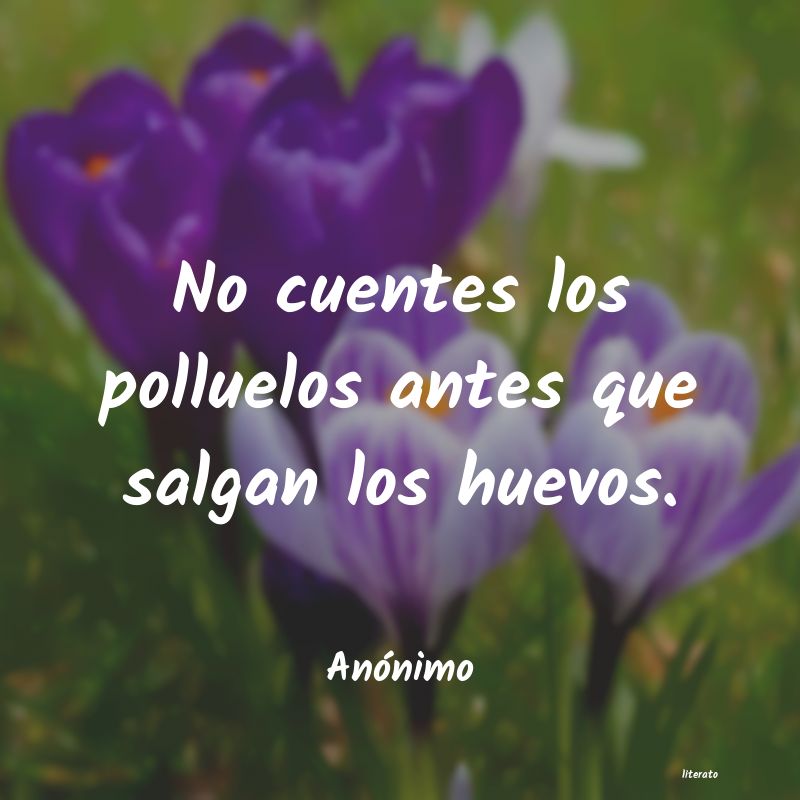 frases