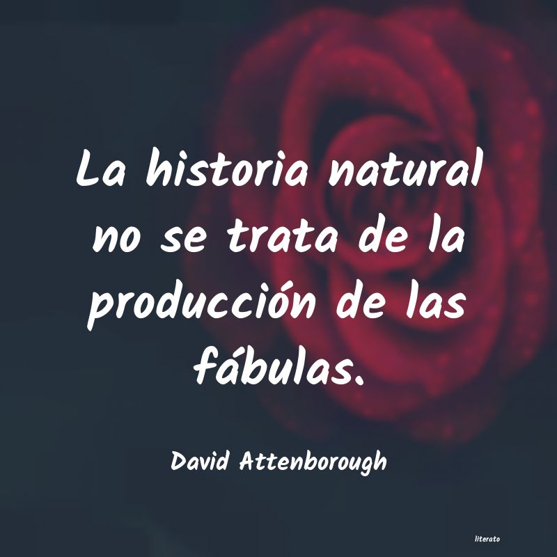 Frases de David Attenborough