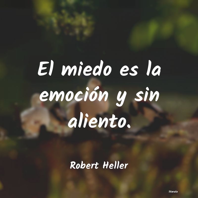 frases de Robert Heller