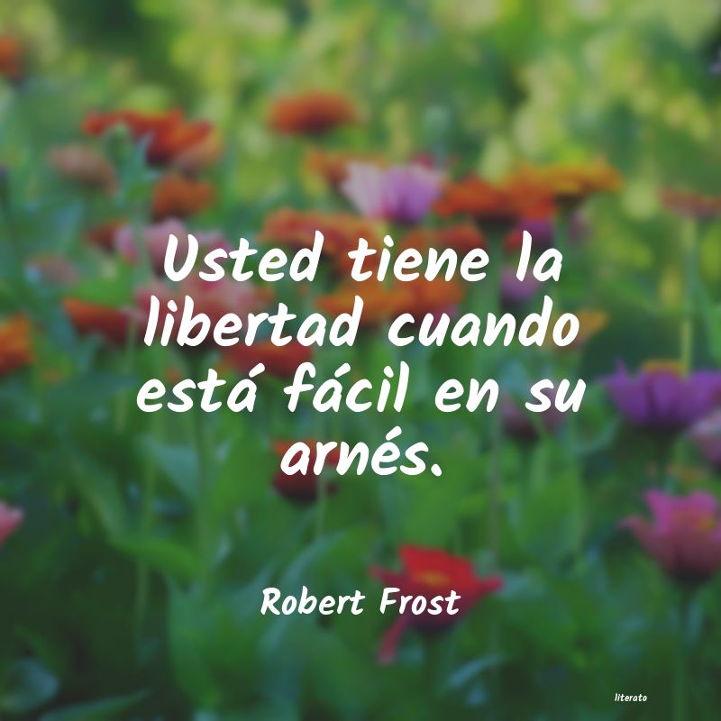 Frases de Robert Frost