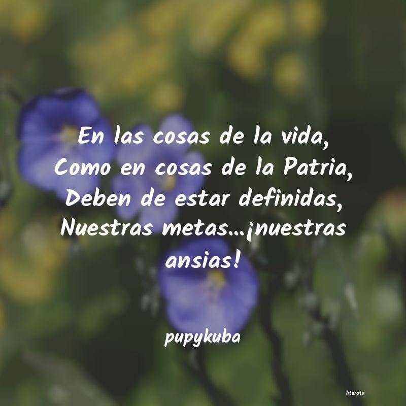 frases de pupykuba