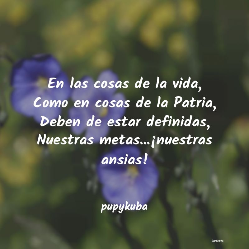 Frases de pupykuba