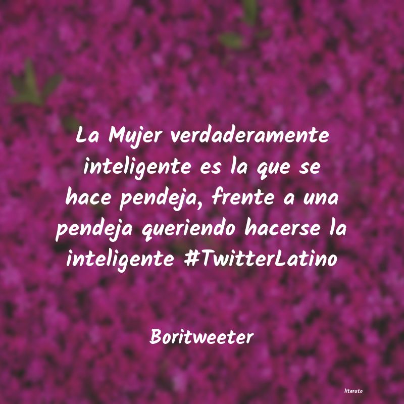 frases de Boritweeter