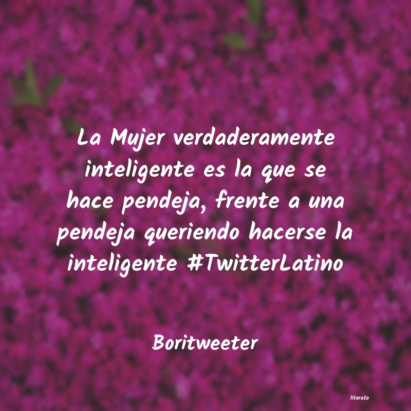 Frases de Boritweeter