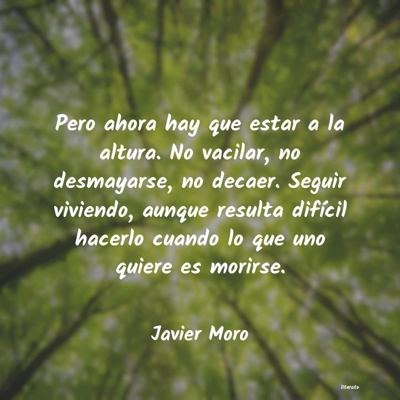 Frases de Javier Moro