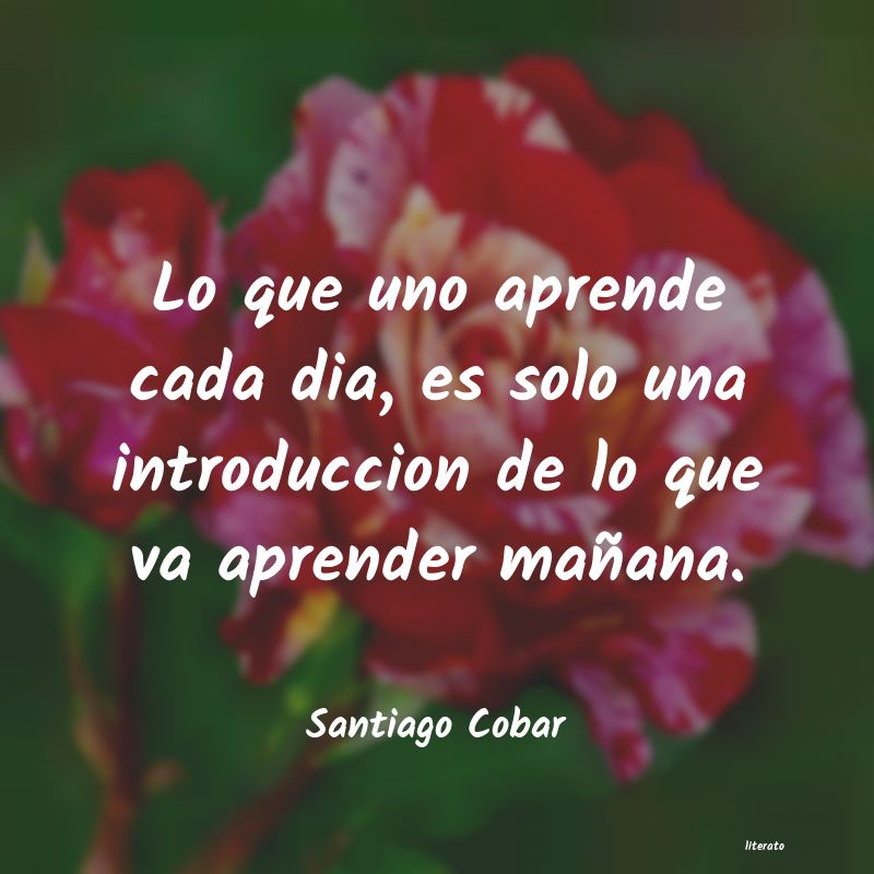 Frases de Santiago Cobar