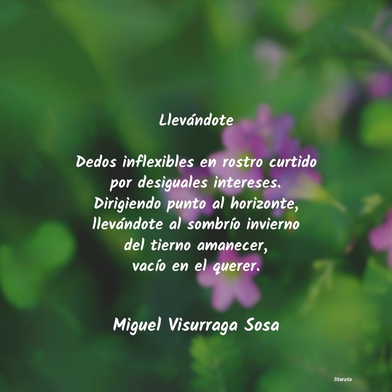 frases de Miguel Visurraga Sosa