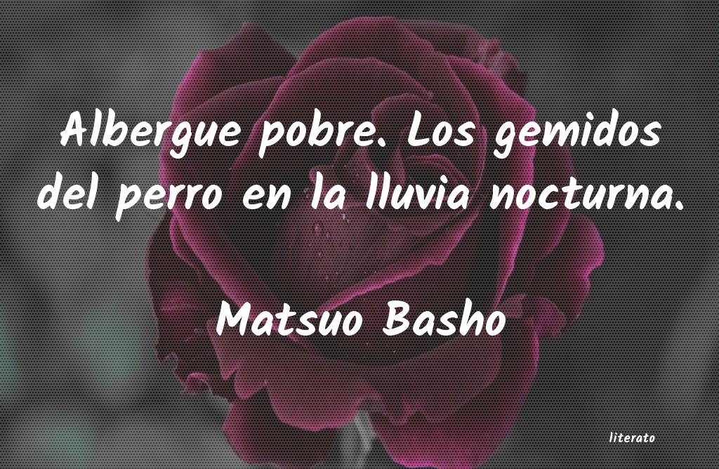 Frases de Matsuo Basho