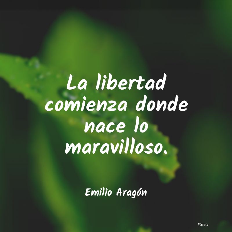 frases de Emilio Aragón