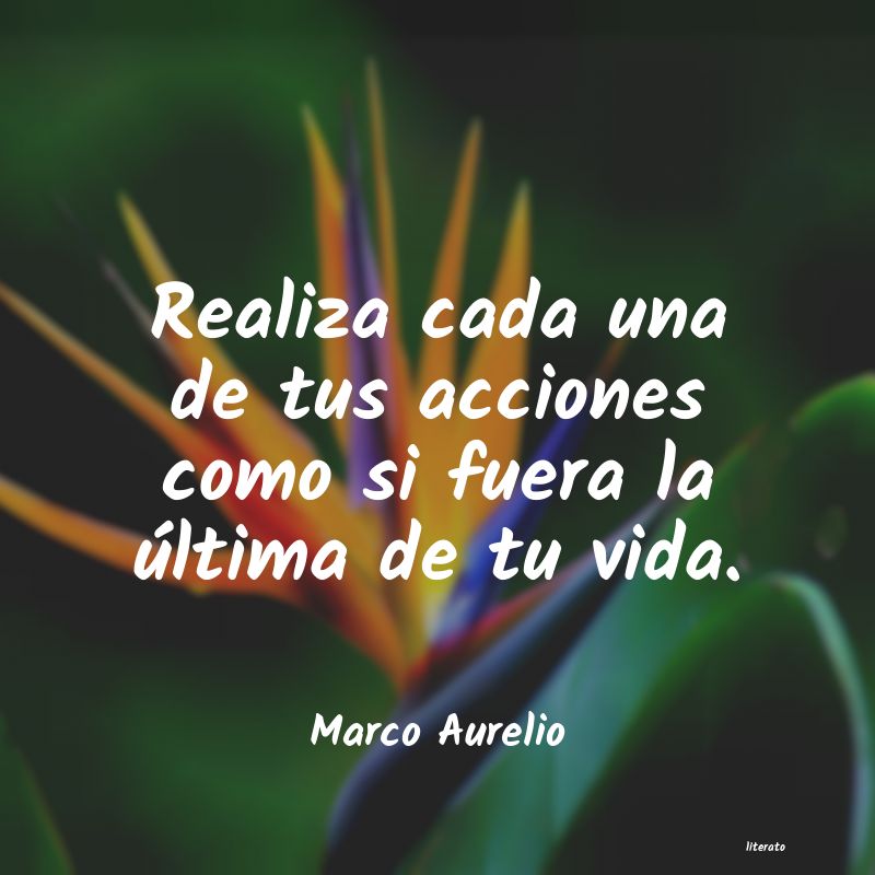 Frases de Marco Aurelio