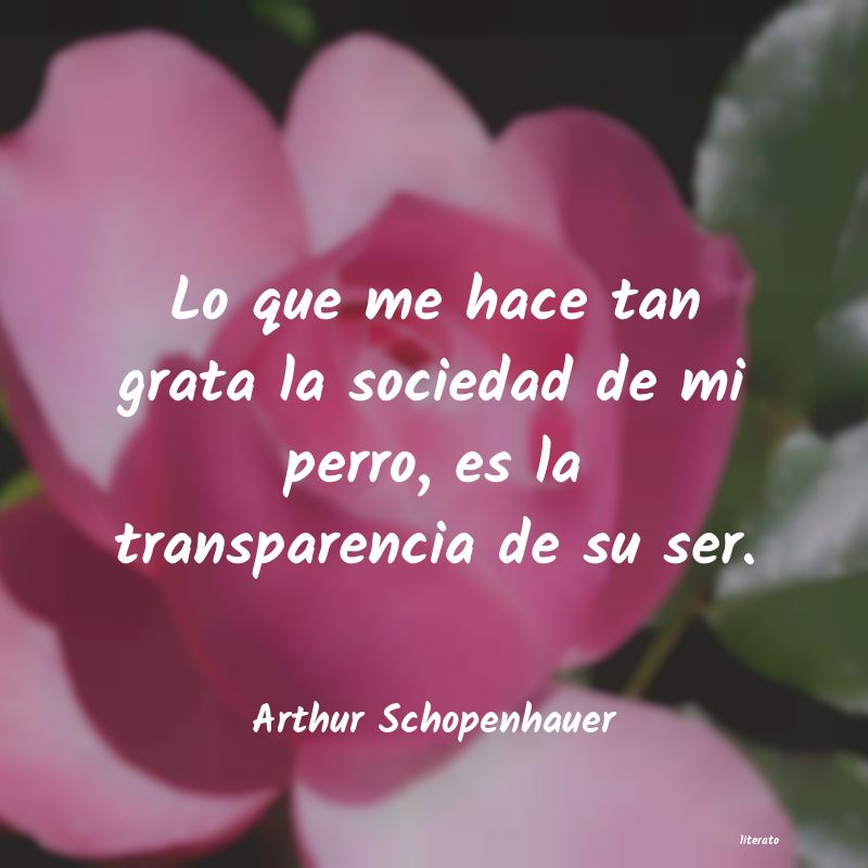 Frases de Arthur Schopenhauer