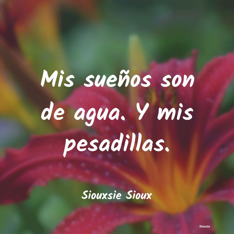 Frases de Siouxsie Sioux