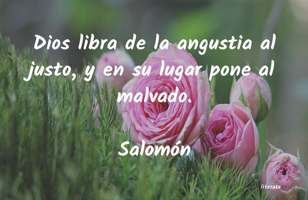 Frases de Salomón