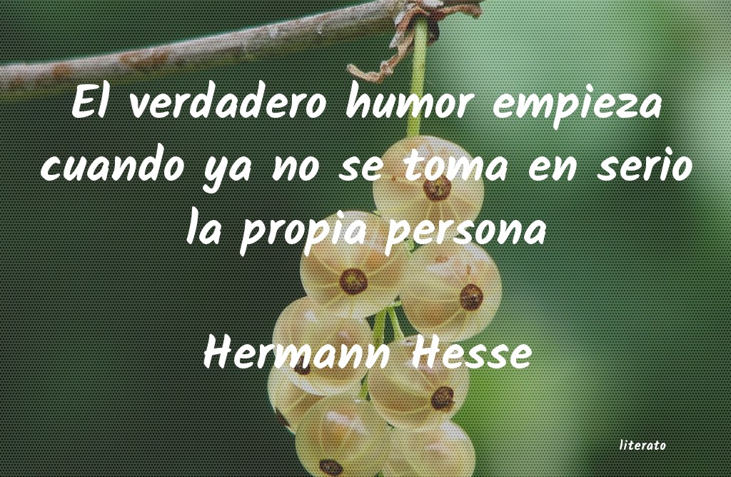 Frases de Hermann Hesse