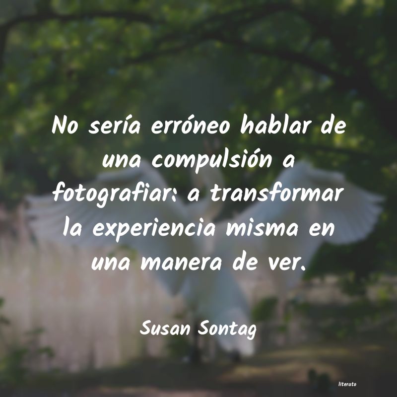 Frases de Susan Sontag