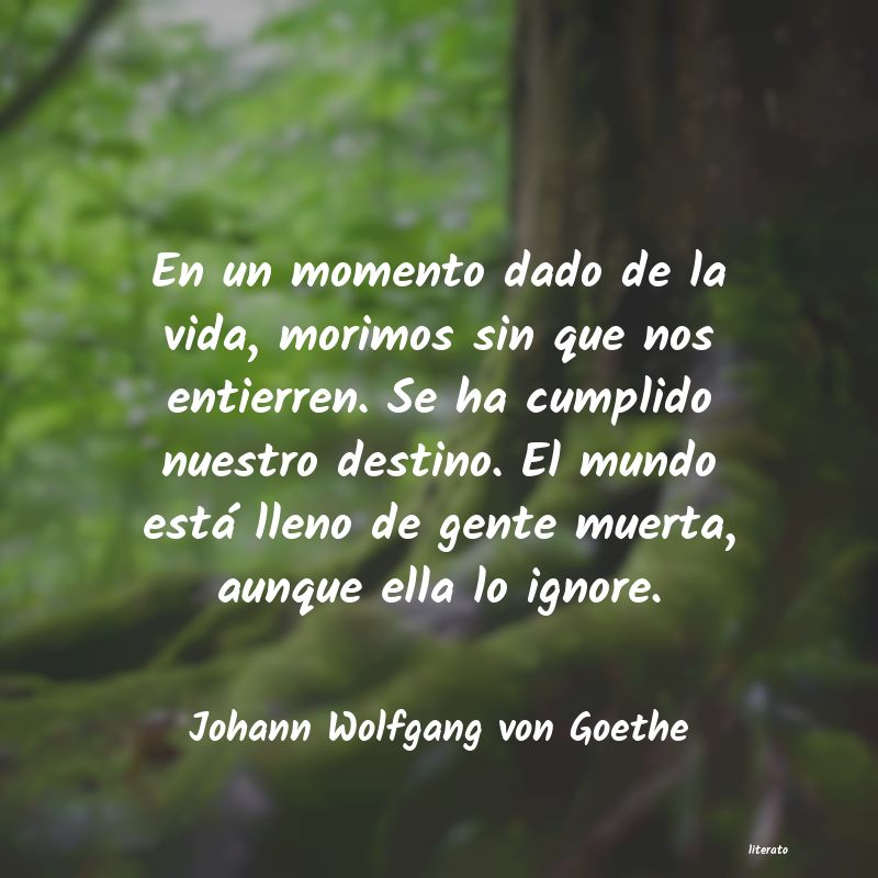 Frases de Johann Wolfgang von Goethe