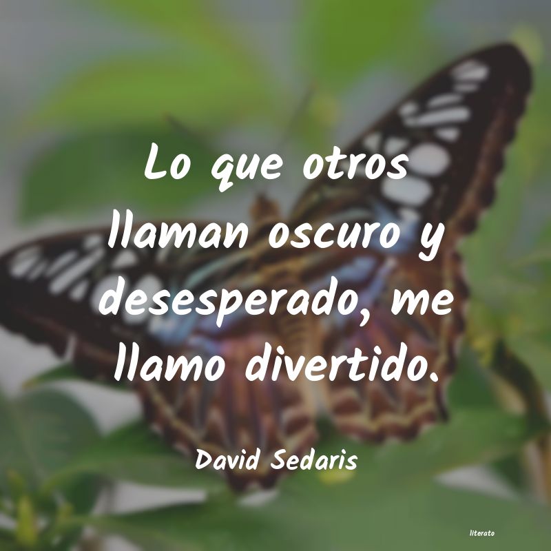 Frases de David Sedaris