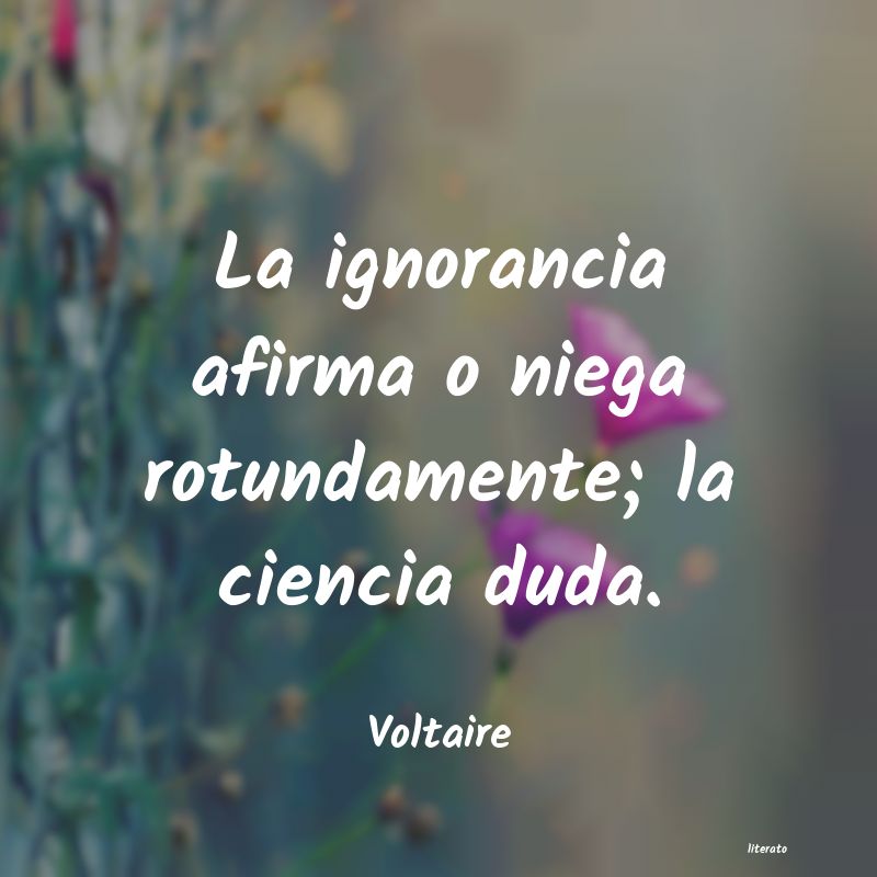 frases de Voltaire