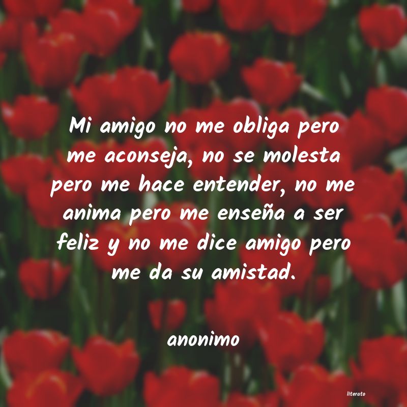 amistad san jeronimo