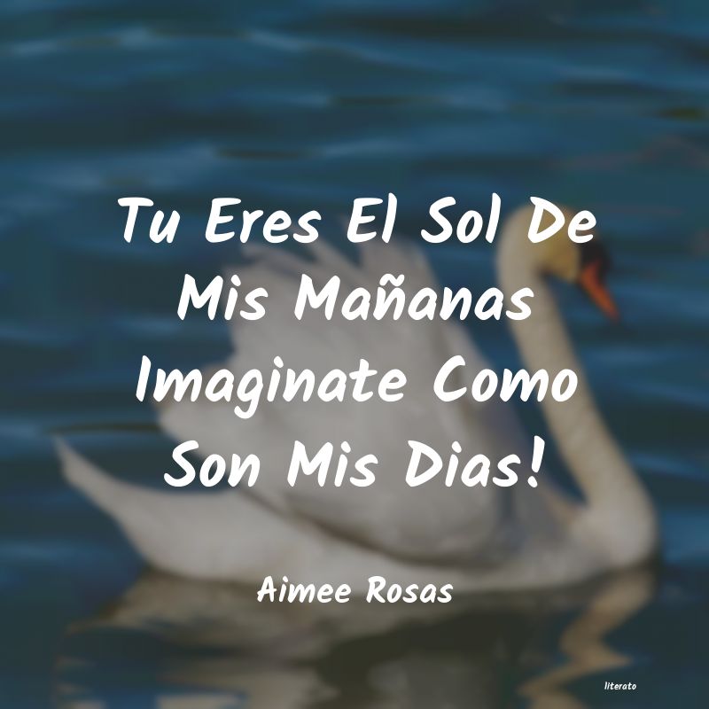 Frases de Aimee Rosas