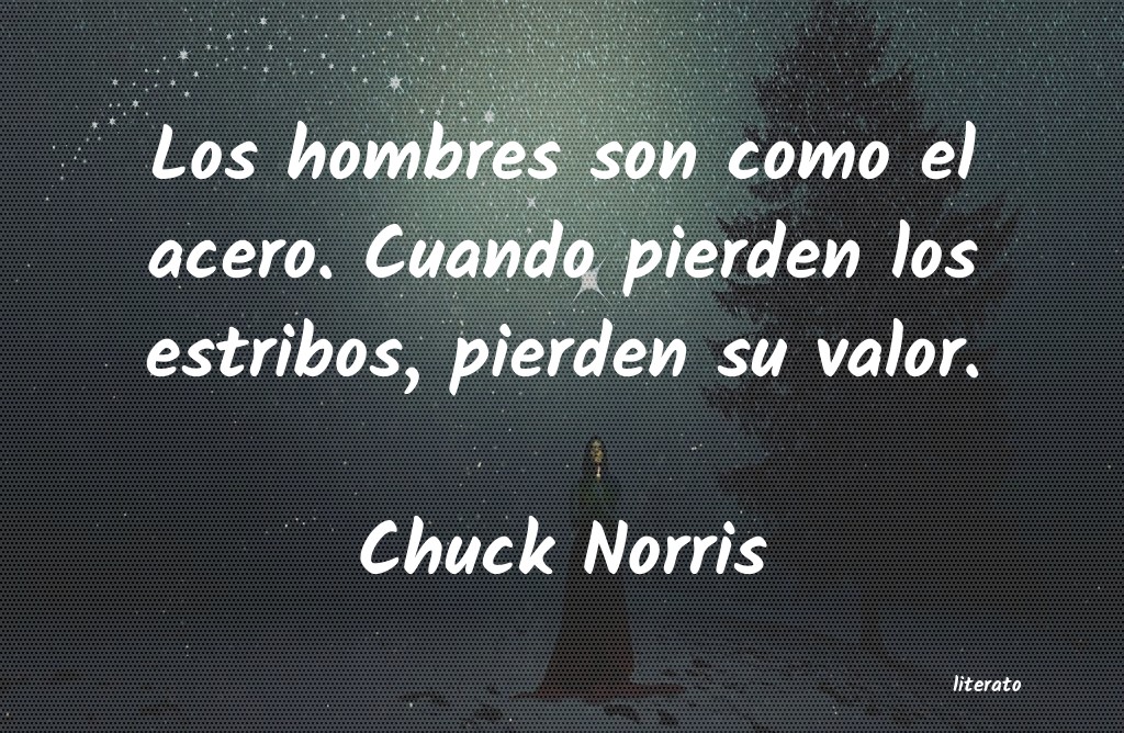 Frases de Chuck Norris