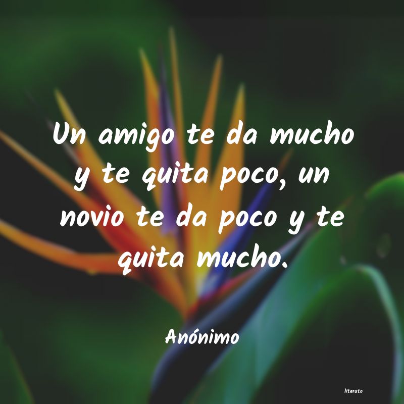 frases