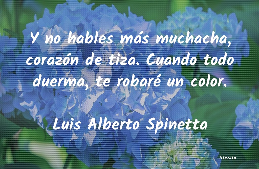 Frases de Luis Alberto Spinetta