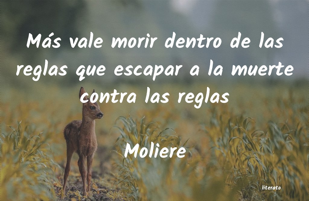 Frases de Moliere