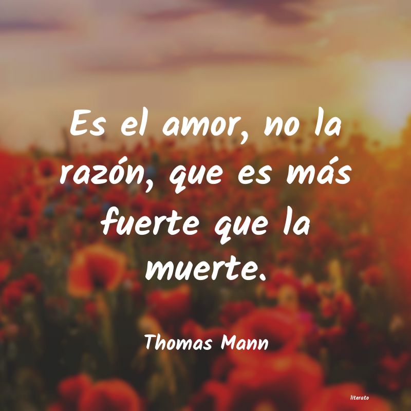 thomas mann paz