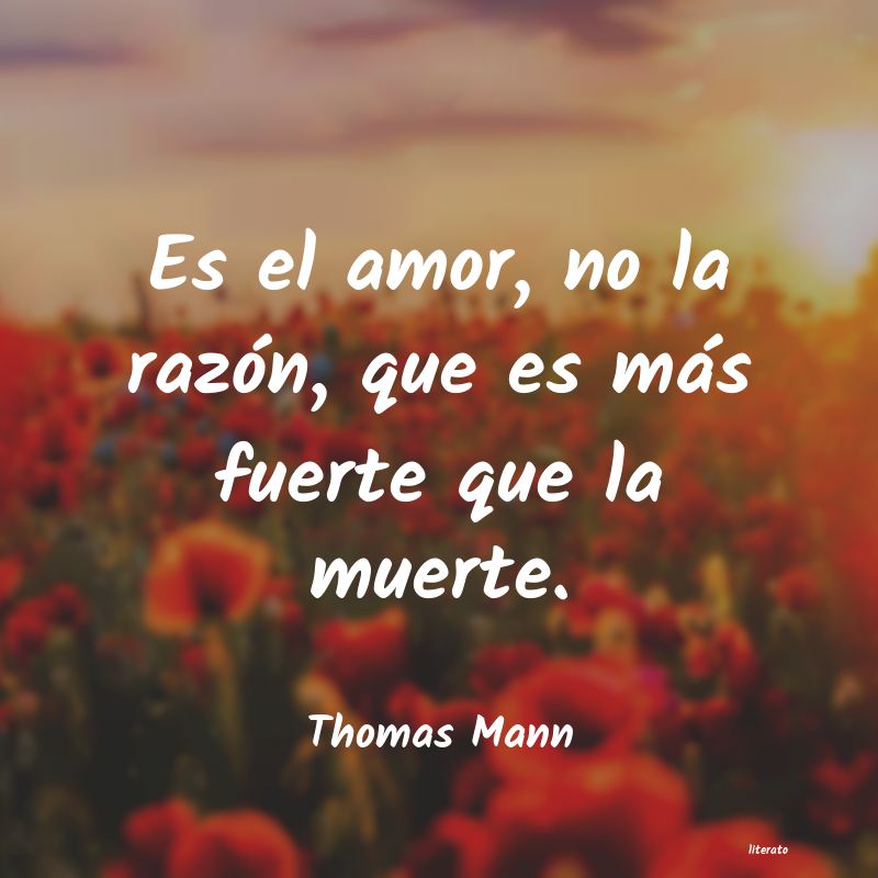 Frases de Thomas Mann