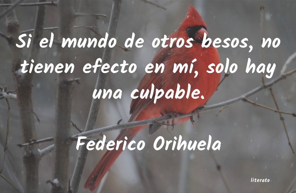 frases de Federico Orihuela