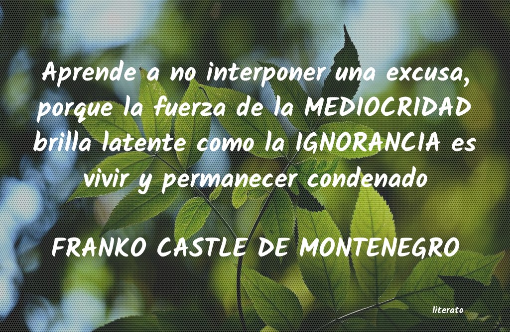 Frases de FRANKO CASTLE DE MONTENEGRO