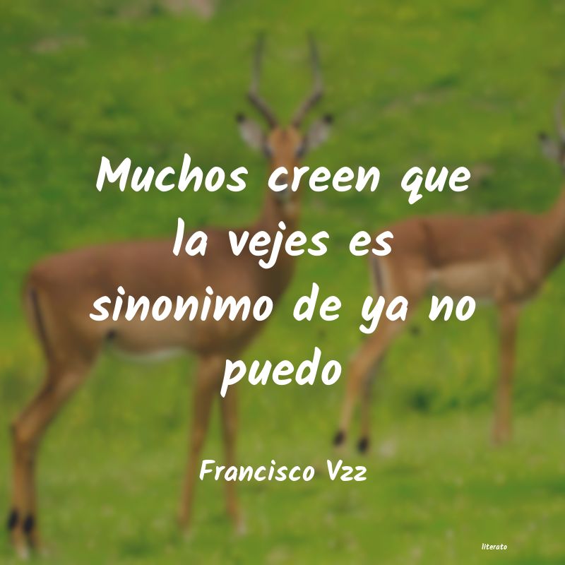 frases de Francisco Vzz