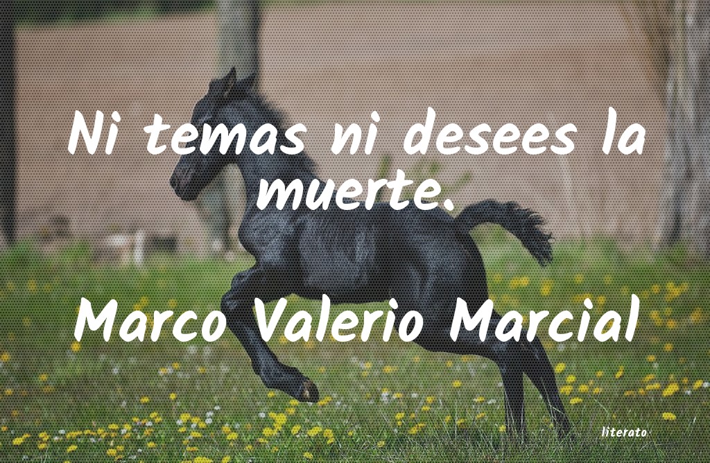 Frases de Marco Valerio Marcial