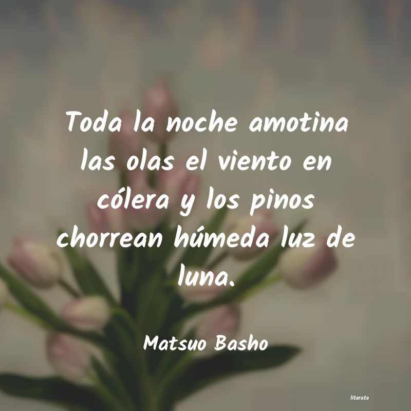 Frases de Matsuo Basho