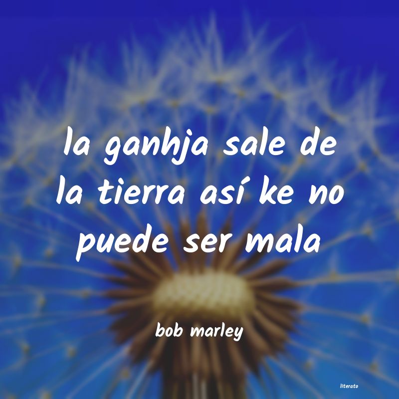 frases de bob marley