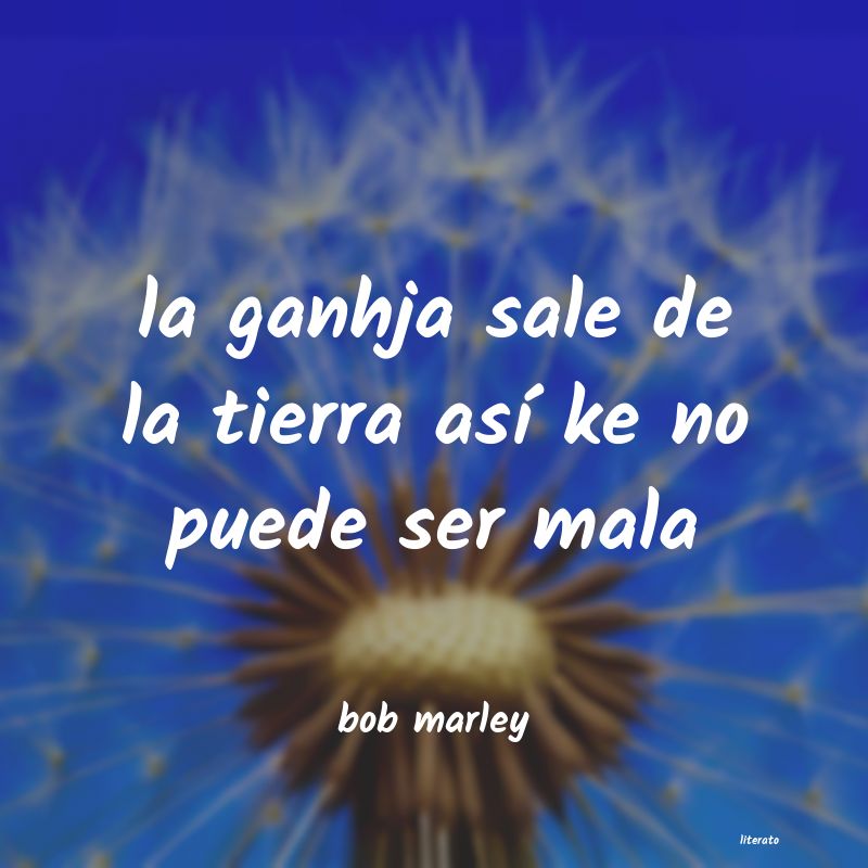 Frases de bob marley