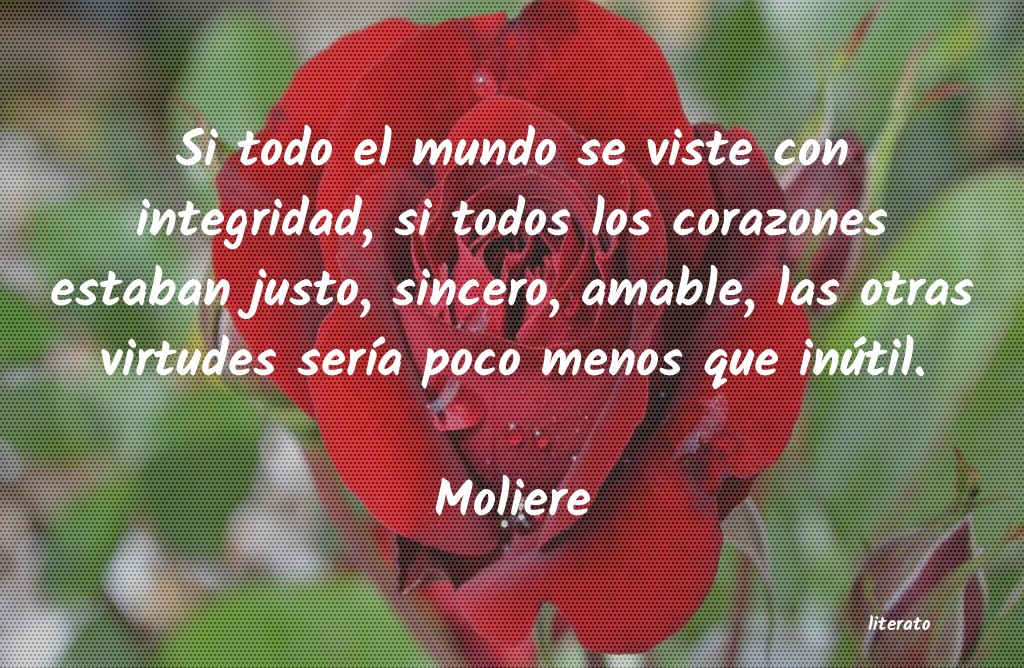 Frases de Moliere