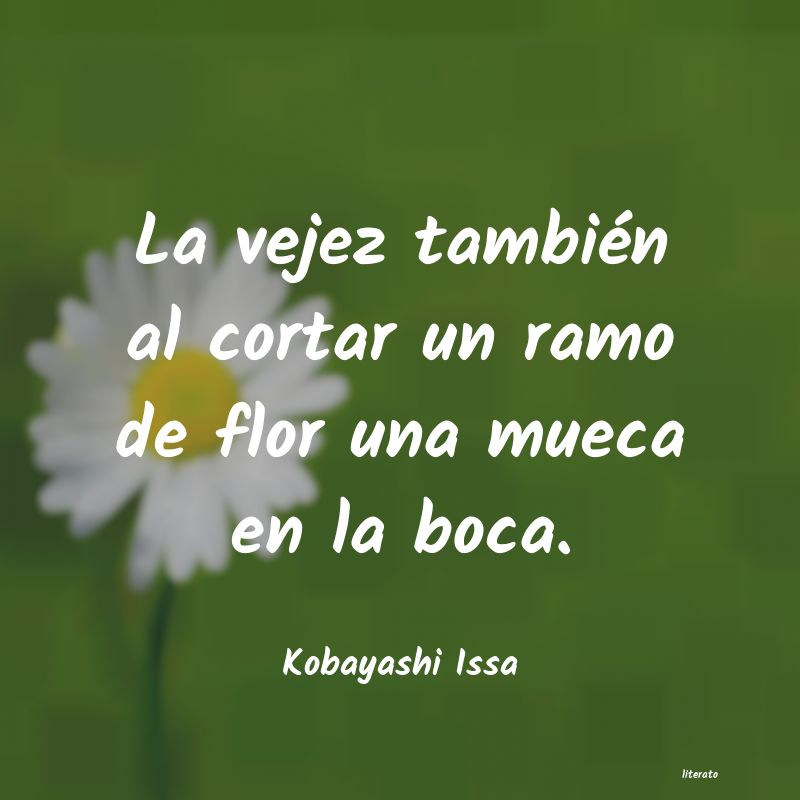 Frases de Kobayashi Issa