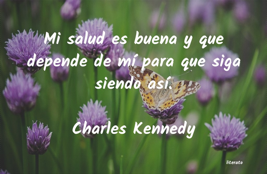 frases de Charles Kennedy