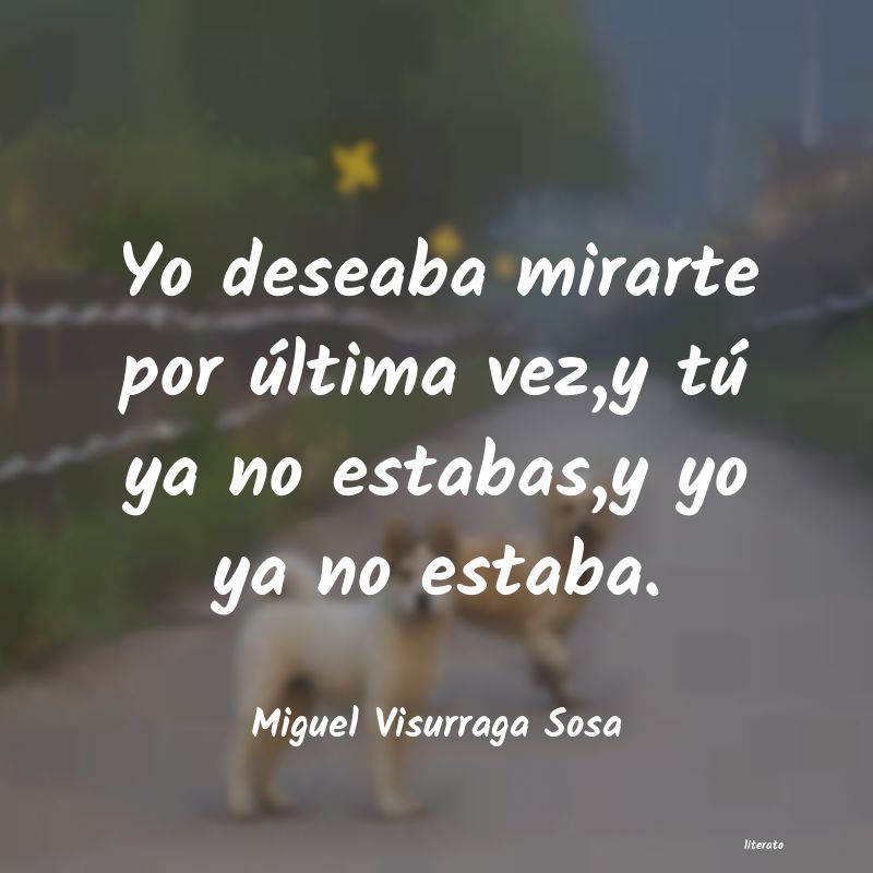 Frases de Miguel Visurraga Sosa