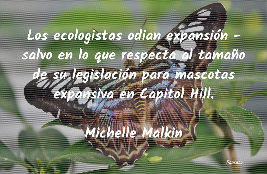 Frases de Michelle Malkin