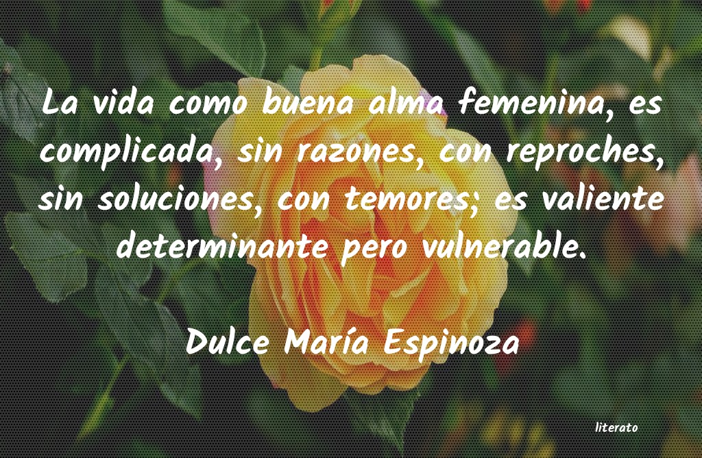 Frases de Dulce María Espinoza