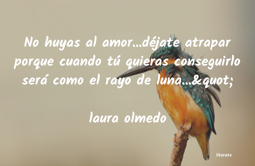 frases de laura olmedo