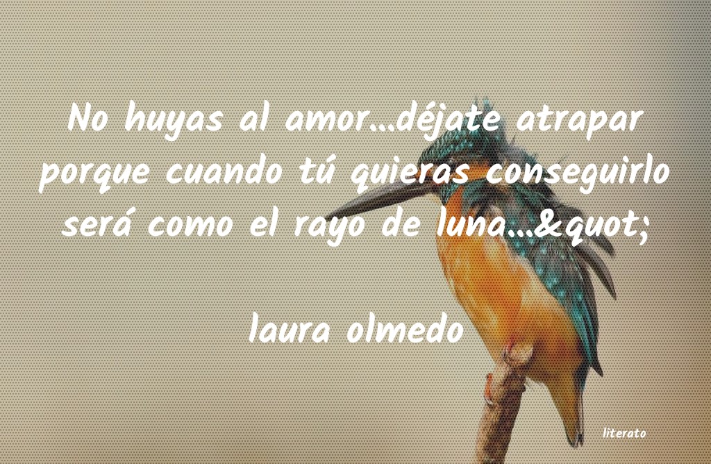 Frases de laura olmedo