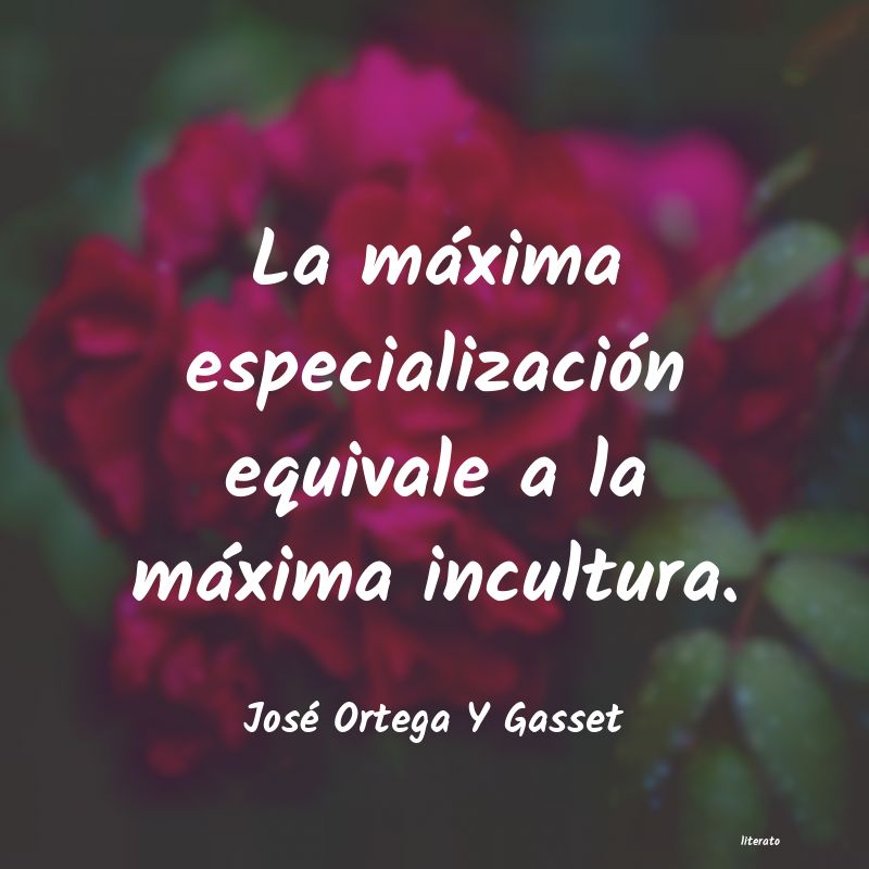 Frases de José Ortega Y Gasset