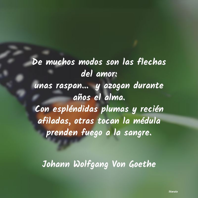 Frases de Johann Wolfgang Von Goethe