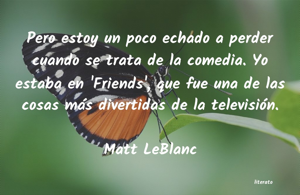 Frases de Matt LeBlanc